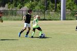 IMG_0482 (cam 0)