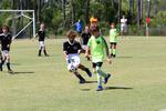 IMG_0508 (cam 0)