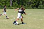 IMG_0546 (cam 0)