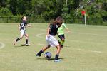 IMG_0548 (cam 0)