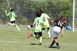 IMG_0558 (cam 0)