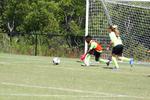 IMG_0568 (cam 0)