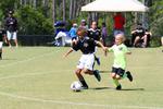 IMG_0590 (cam 0)
