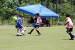 IMG_0037 (cam 0)