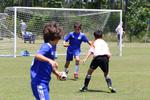 IMG_0047 (cam 0)