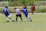 IMG_0062 (cam 0)