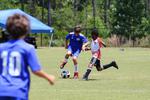 IMG_0075 (cam 0)