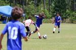 IMG_0077 (cam 0)