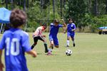 IMG_0078 (cam 0)