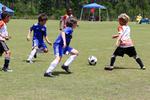 IMG_0084 (cam 0)