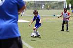 IMG_0091 (cam 0)