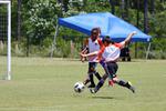 IMG_0113 (cam 0)