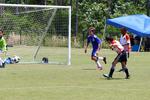 IMG_0115 (cam 0)