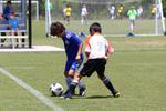 IMG_0159 (cam 0)