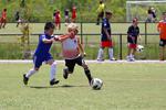 IMG_0183 (cam 0)