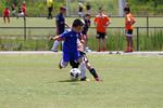 IMG_0185 (cam 0)