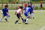 IMG_0190 (cam 0)