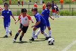 IMG_0196 (cam 0)