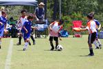 IMG_0205 (cam 0)