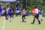 IMG_0206 (cam 0)