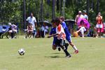 IMG_0208 (cam 0)