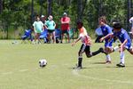 IMG_0209 (cam 0)