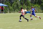IMG_0212 (cam 0)