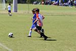 IMG_0682 (cam 0)