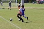IMG_0684 (cam 0)