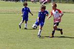 IMG_0696 (cam 0)