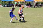 IMG_0698 (cam 0)