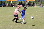 IMG_0700 (cam 0)