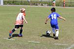 IMG_0709 (cam 0)