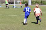 IMG_0717 (cam 0)
