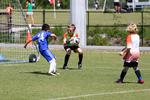 IMG_0743 (cam 0)