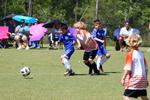 IMG_0772 (cam 0)