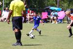 IMG_0774 (cam 0)