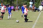 IMG_0780 (cam 0)
