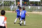 IMG_0803 (cam 0)