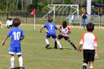 IMG_0806 (cam 0)