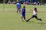 IMG_0872 (cam 0)