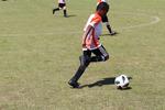 IMG_0875 (cam 0)