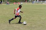 IMG_0880 (cam 0)