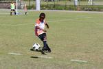 IMG_0887 (cam 0)