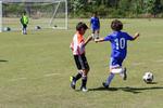 IMG_0890 (cam 0)