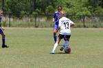 IMG_0022 (cam 0)