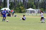 IMG_0043 (cam 0)