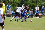 IMG_0051 (cam 0)