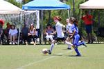 IMG_0074 (cam 0)