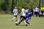 IMG_0100 (cam 0)